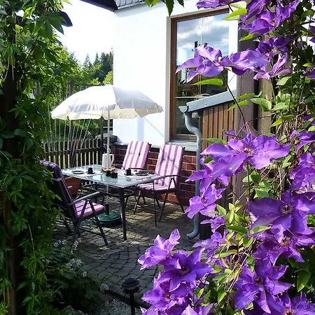 Daire Hammerfinken-nest *