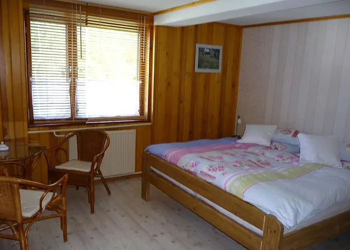 Hammerfinken-nest * Wurzbach