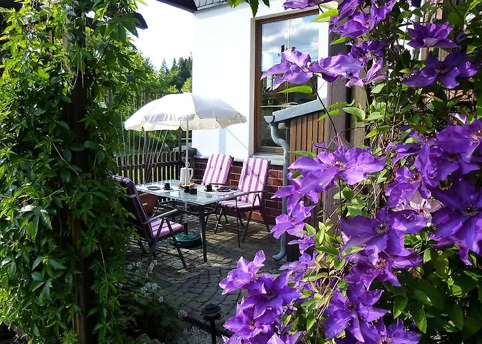 Daire Hammerfinken-nest *